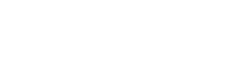 人民的选择