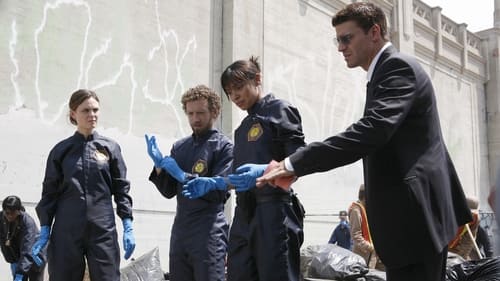 Bones: 2×3