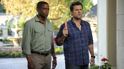 Poster della serie Psych