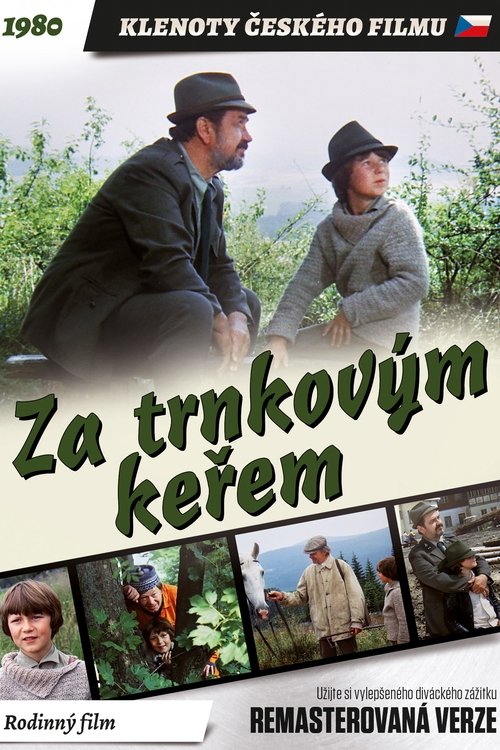 Za trnkovým keřem movie poster player