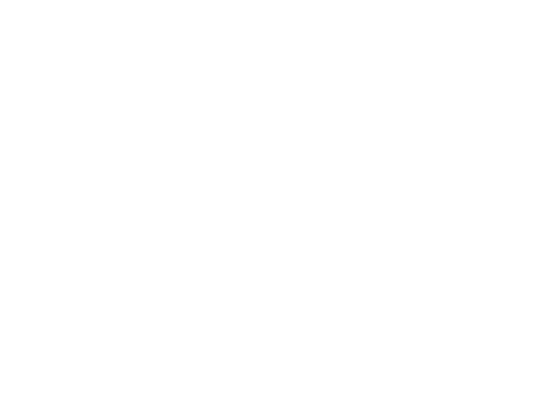 Bye Bye Morons