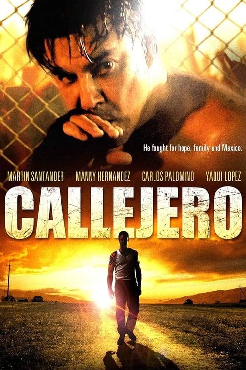 Poster Callejero 2015