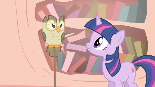 Episode 24