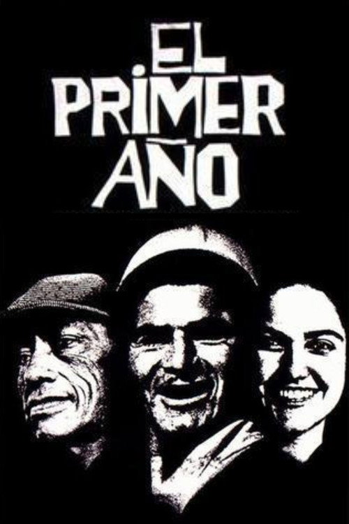 The First Year poster