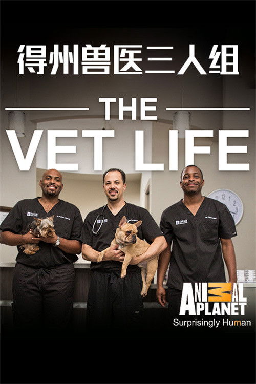得州兽医三人组