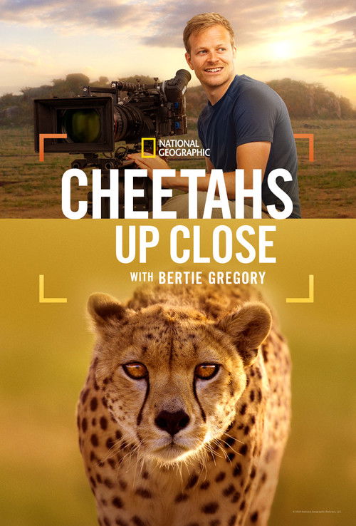 Cheetahs Up Close with Bertie Gregory