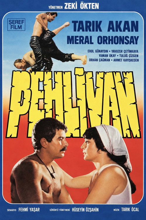 Affiche de Pehlivan