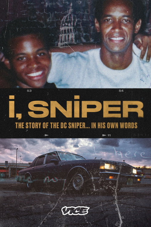 Serial Sniper poster
