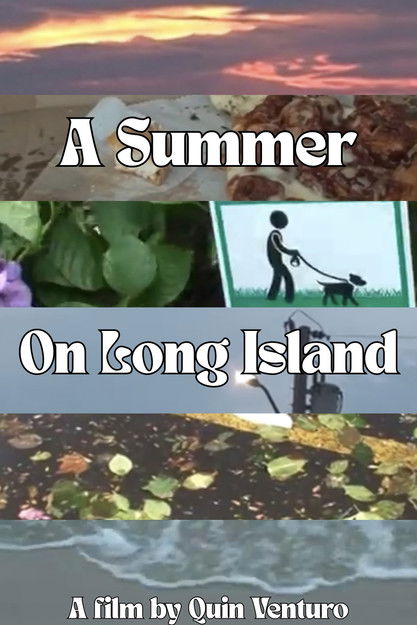 A Summer On Long Island poster