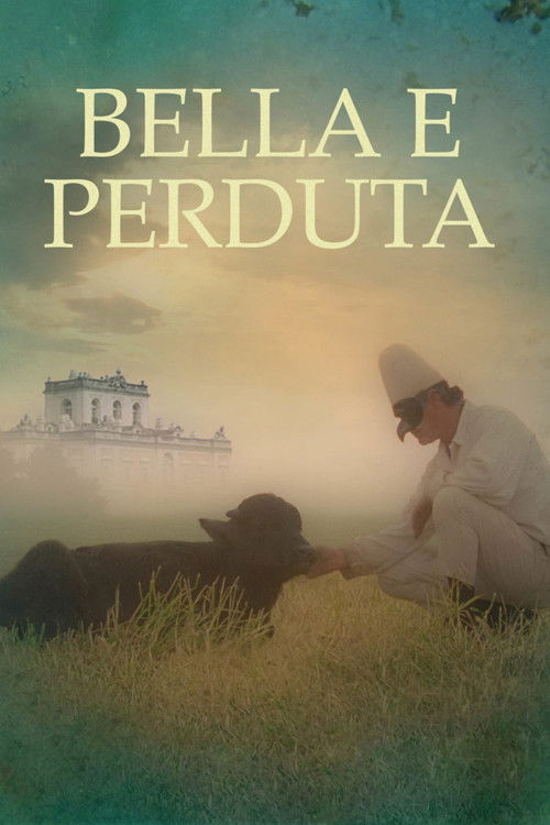 Lost and Beautiful poster