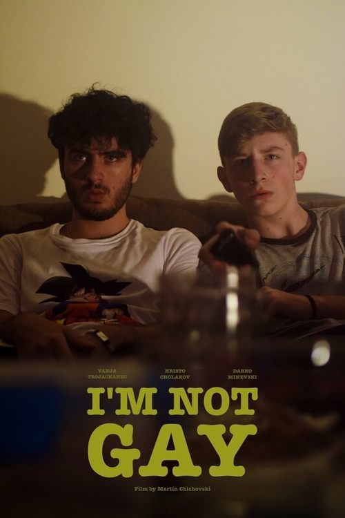 I’m Not Gay Movie Poster Image