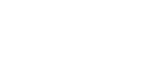 Yellow Rose