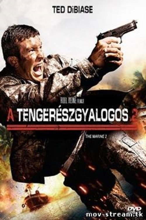A tengerészgyalogos 2 movie poster player