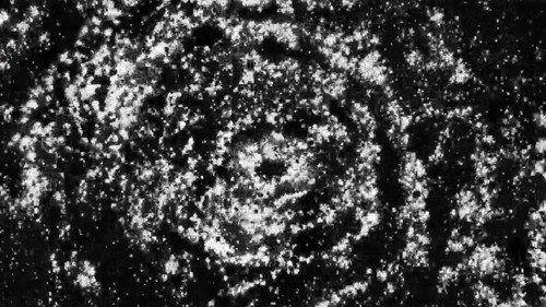 It has to be lived once and dreamed twice