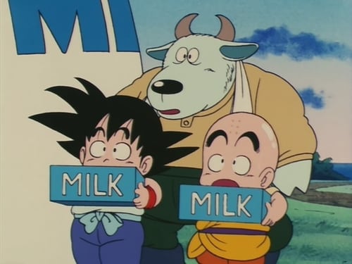 Dragon Ball: 1×17