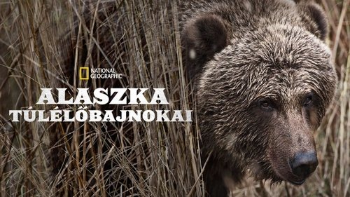 Alaska's Grizzly Gauntlet