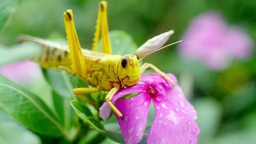 Image de l'épisode 3