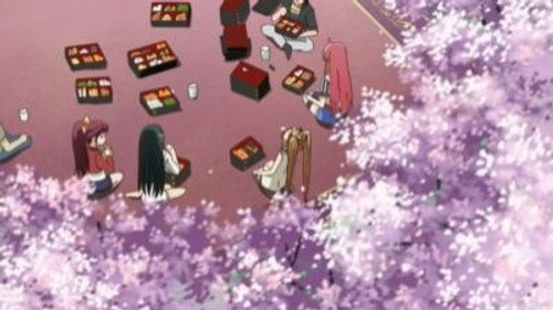 All Aboard for the Flower Festivities