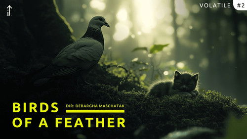 Volatile: Birds of a Feather