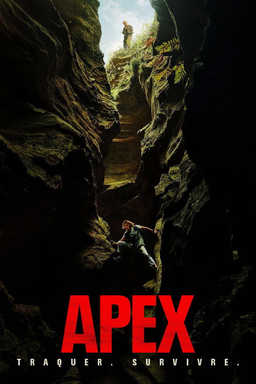 Affiche de Apex