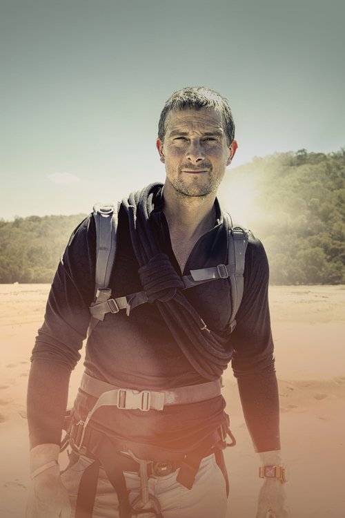 Bear Grylls: Stars am Limit - Die Challenge