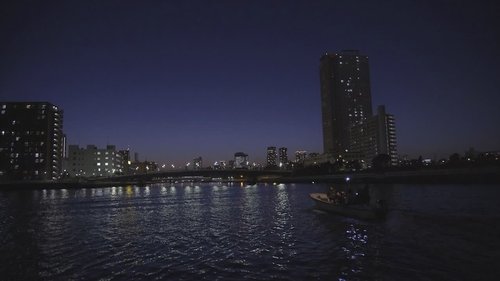 山口一郎 東京ナイトフィッシング