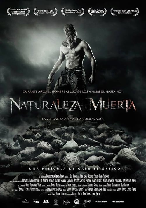 Naturaleza Muerta poster