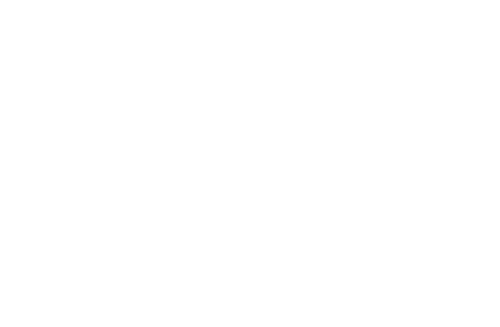 Enemy Lines
