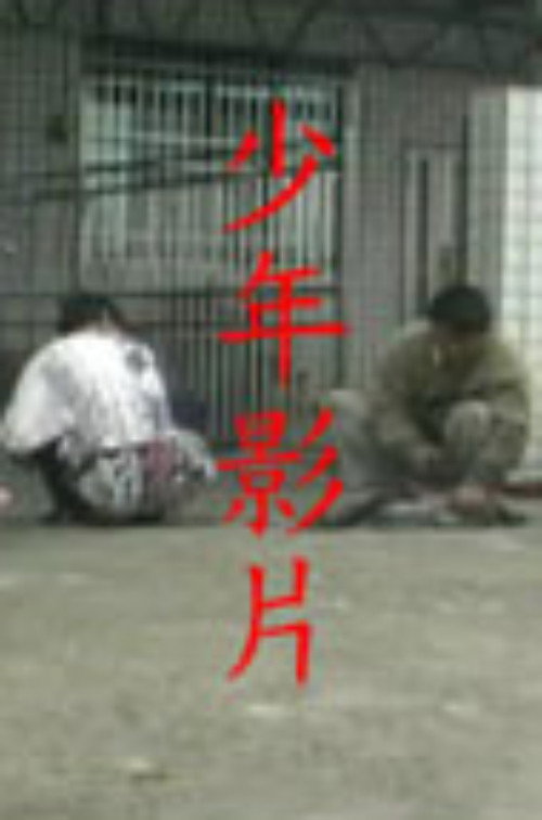 少年影片 poster