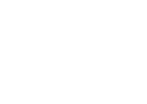 Emily la criminal