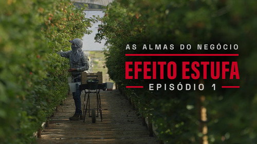 Folge 1