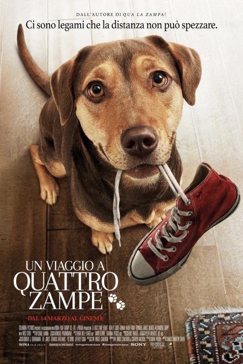 Un viaggio a quattro zampe movie poster player
