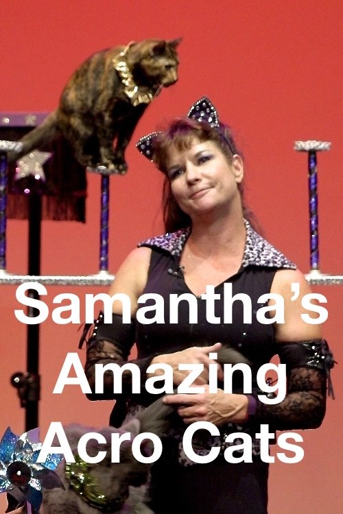 Samantha’s Amazing Acro Cats movie poster player