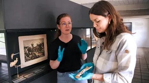 Image de l'épisode 5