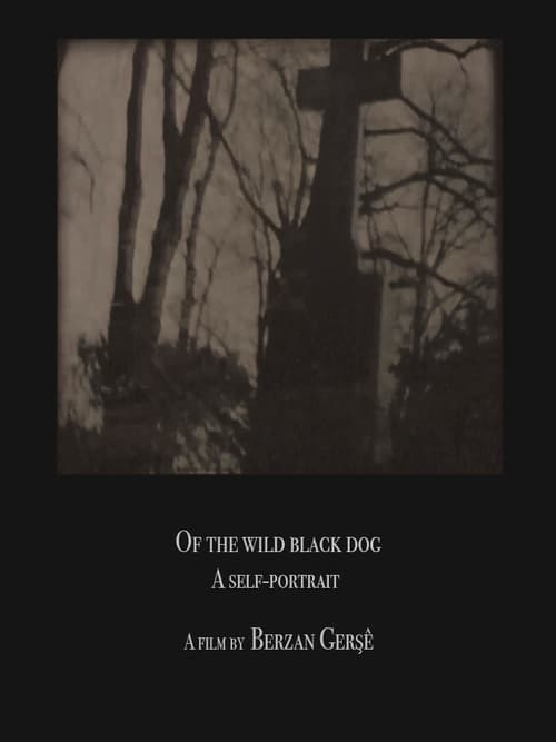 Poster Of The Wild Black Dog 2020