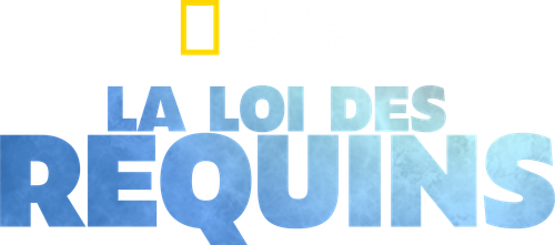 La loi des requins