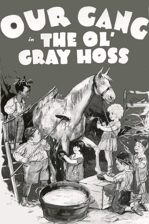 The Ol' Gray Hoss (1928) poster