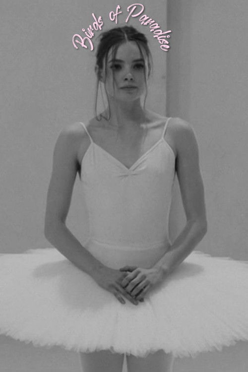 Birds of Paradise poster