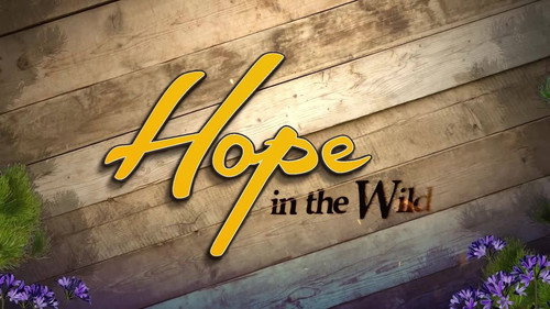 Hope in the Wild Backdrop Blur