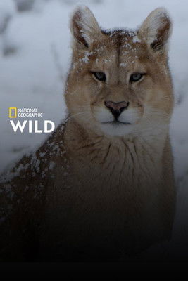 Escena 5 de Winter's Hidden Wonders