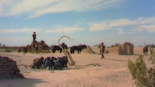 Image du film