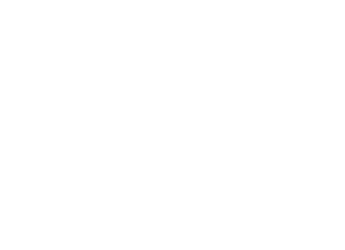 山水情