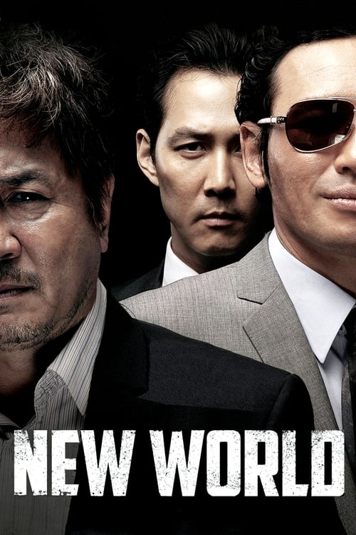 Poster 신세계 2013