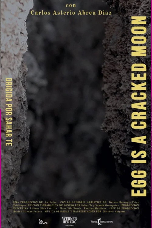 Egg is a Cracked Moon