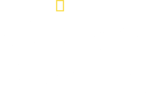 Ataque ao Pentágono