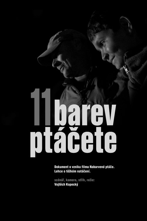 11 barev ptáčete movie poster player