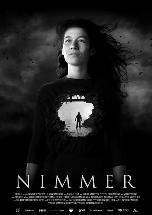 Nimmer (2017)