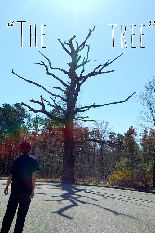 The Tree