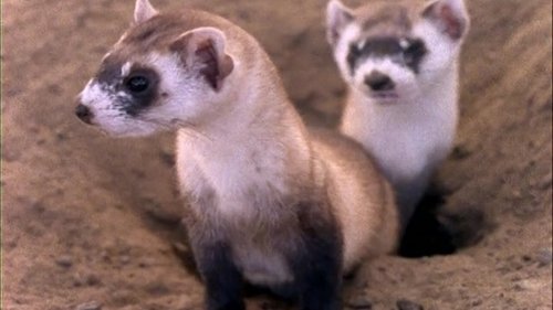 Image de l'épisode 3