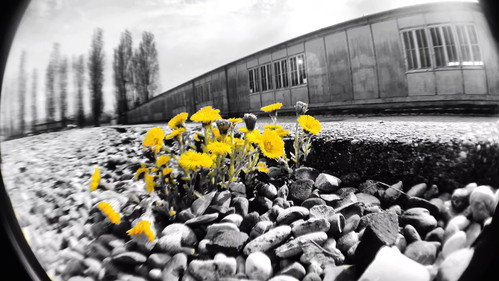 the LOVe within hatE